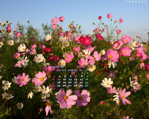 403388 (a): :1280x1024